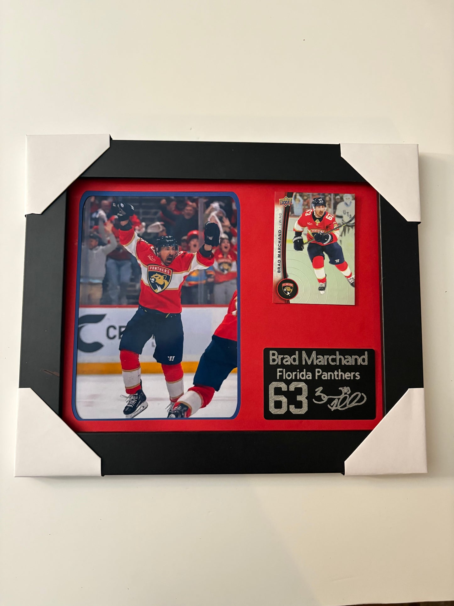 Florida Panthers Brad Marchand Framed 8x10 NHL Custom Collectible