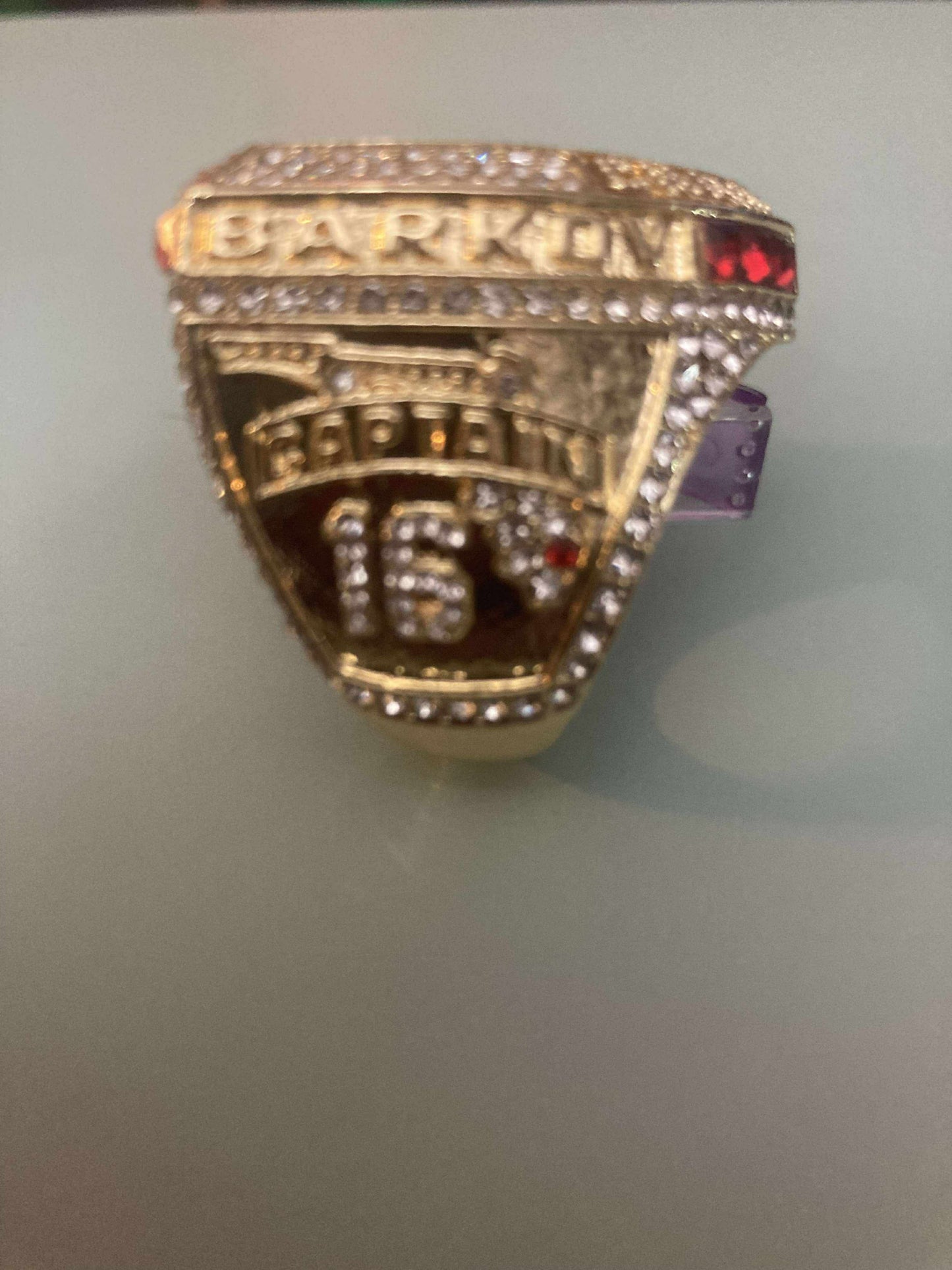 Florida Panthers Stanley Cup Championship Replica Players ring