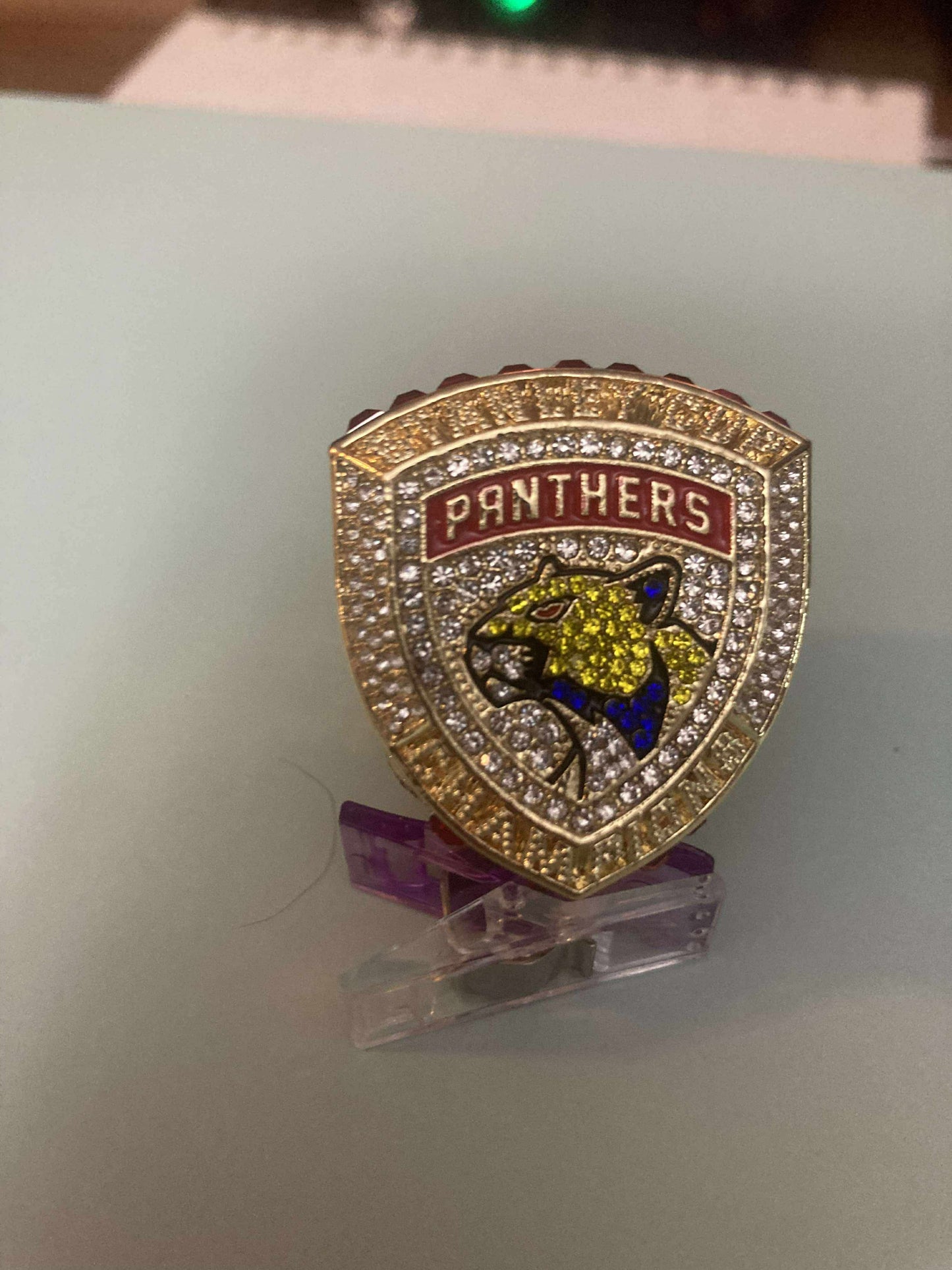 Florida Panthers Stanley Cup Championship Replica Players ring