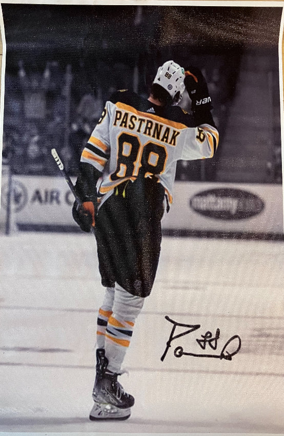 12x8 Canvas Prints-David Pastrnak