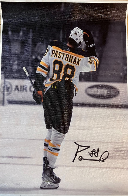 12x8 Canvas Prints-David Pastrnak