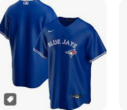 MLB Toronto Blue Jays Plain No Name or Number Royal Blue Jersey